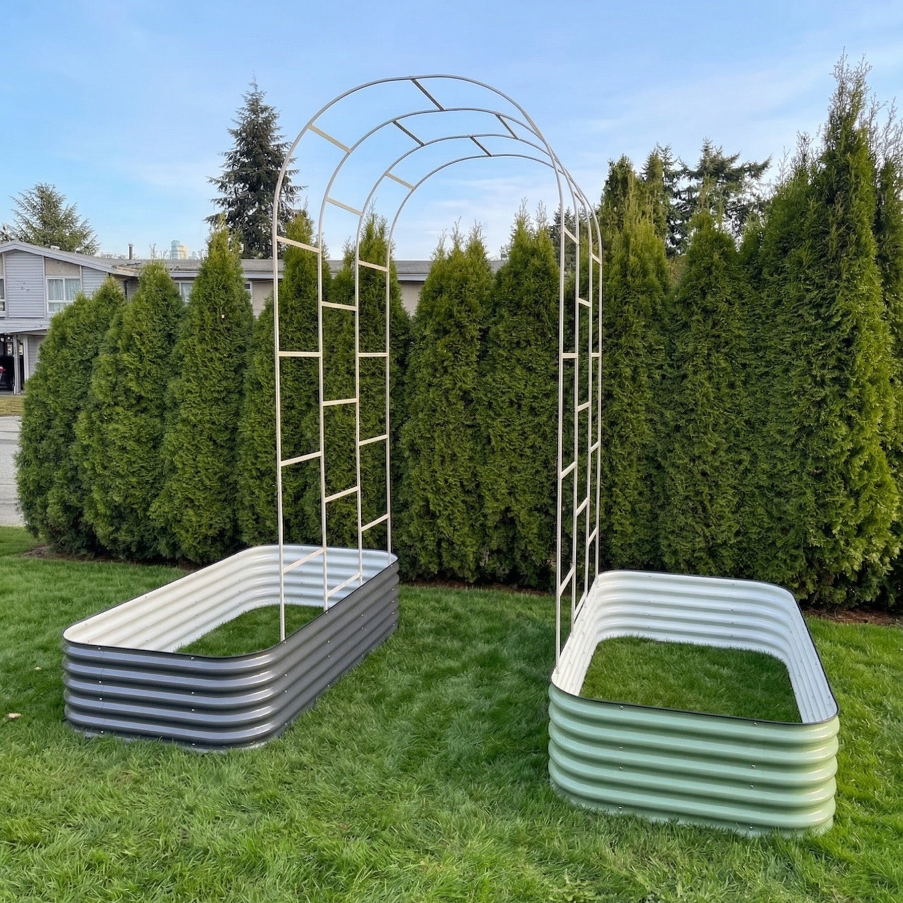 Arched metal garden trellis for climbing plants and vines